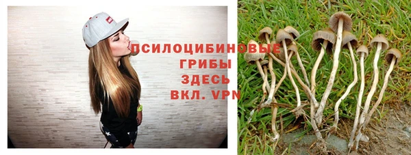 ешки Михайлов