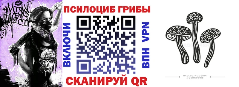 Галлюциногенные грибы Psilocybine cubensis  Добрянка 